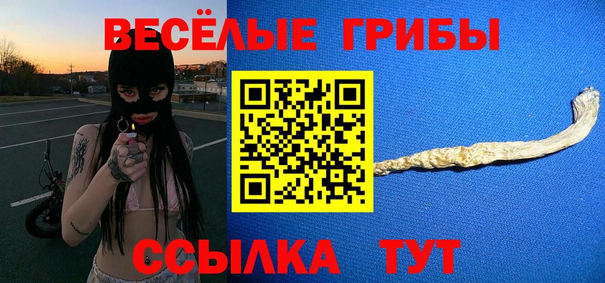 Галлюциногенные грибы мицелий Вольск